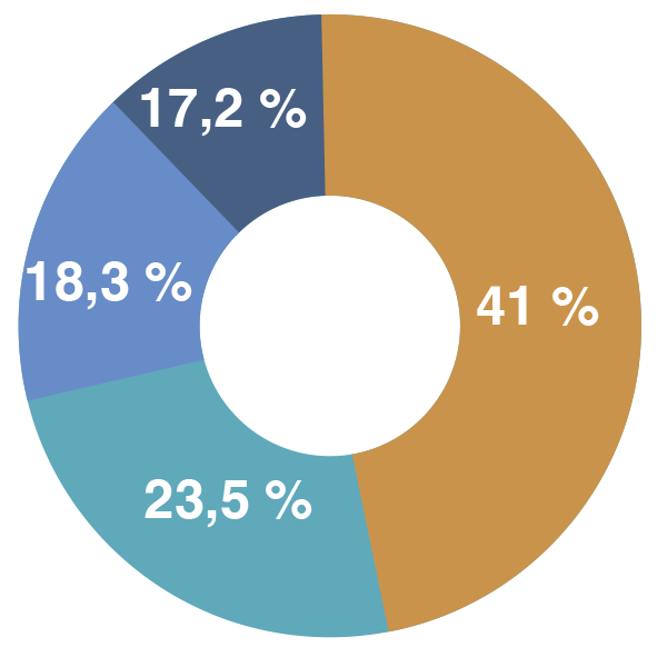 Typologie des foyers aidés par TZEE : 18,3% familles monoparentales (294) 41% foyers d'une personne seule (658) 23,5% personnes âgées de plus de 65 ans (378)